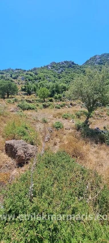 Marmaris Selimiye Dorf In einer für die Investition geeigneten 773 m2 großen verkaufsbaren Fläche Land
