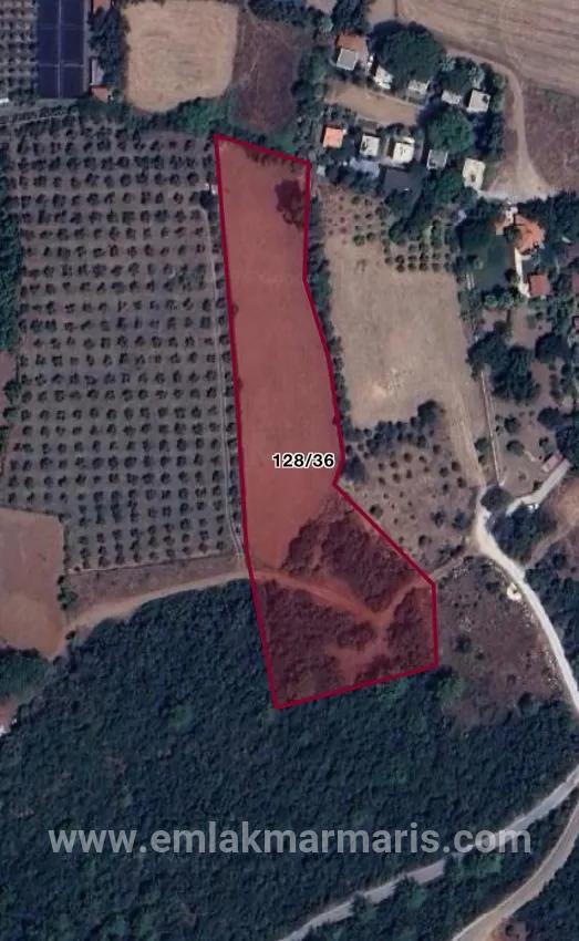 Feld Zu verkaufen in Çamlı Bz. Marmaris - Feld-Zonierung - 7.000 m²