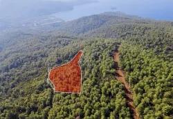 Feld Zu verkaufen in Çetibeli Bz. Marmaris - Feld-Zonierung - 13.500 m²