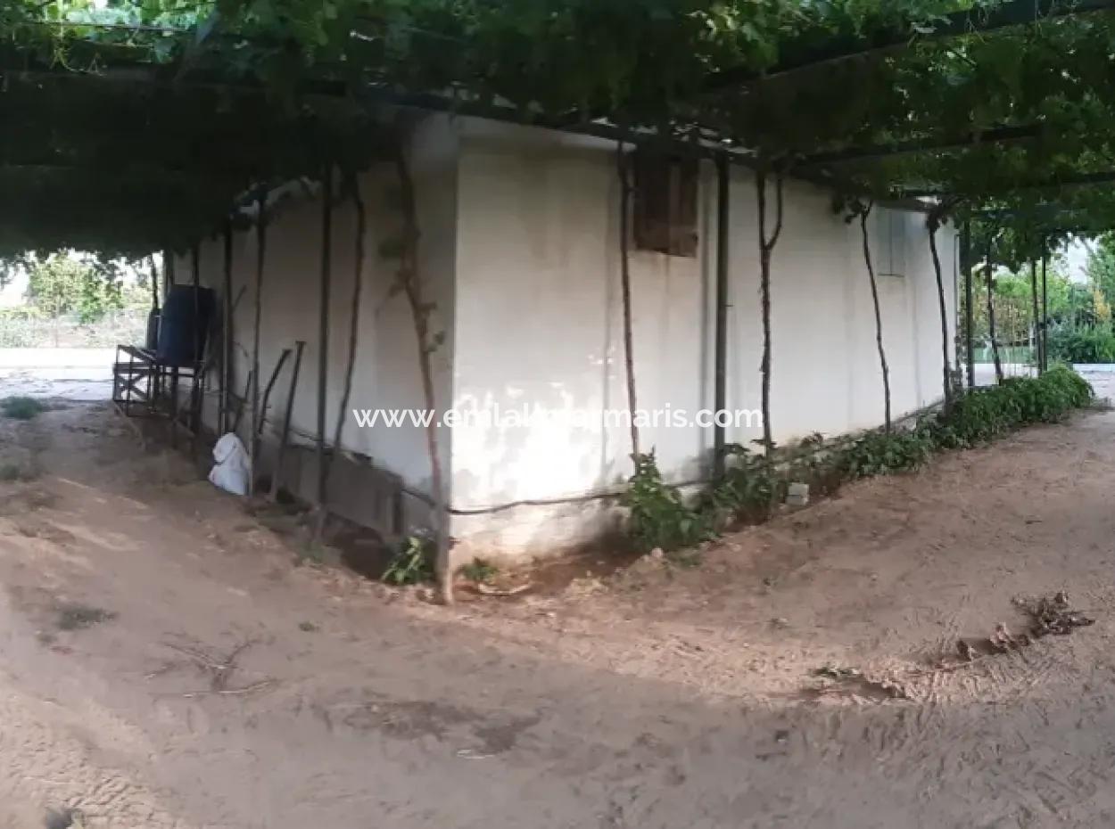 Manisa Präfektur Alasehir Bezirk 19000M2 Traubenfrierungsbetrieb Zum Dringenden Verkauf