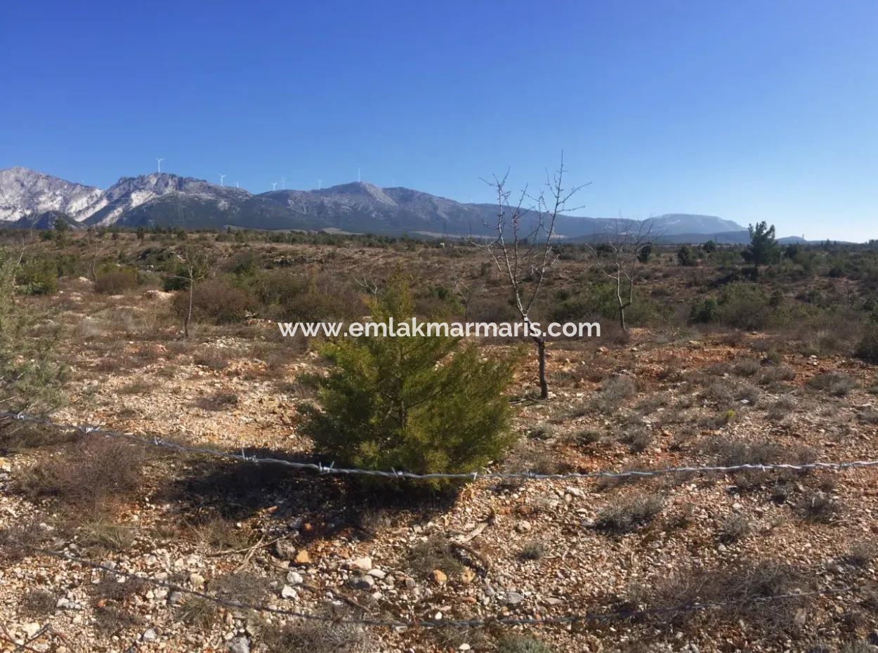 Der 200000M2 Mandelgarten Steht Im Zentrum Von Mugla Zum Verkauf.