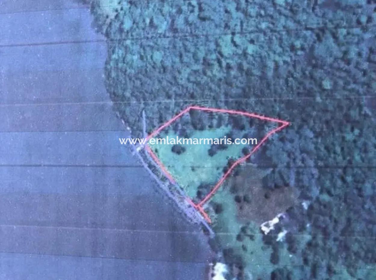 Das Land Zum Verkauf Von Marmaris In Der Nähe Des Meeres Grundstück Hotels, Marina, Yacht Club Land 4000 M2