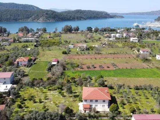 Bauernhaus Inmitten Von Olivenhainen Mit 10 Zimmern Auf Einem Grundstück Von 3700M2 In Der Nähe Des Meeres Im Stadtteil Orhaniye Von Marmaris Vom Immobilienmakler