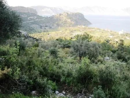 15000M2 Grundstück Zum Verkauf Mit Meerblick In Kumlubük Bay, Marmaris