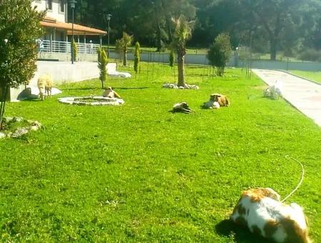 Gebaut Auf Einem Grundstück Von 7000M2 In Marmaris, 8 Zimmer, Haus Ranch Pool