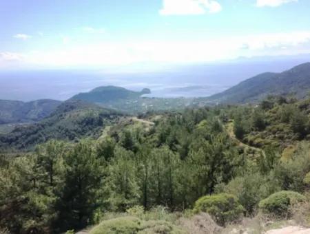 Grundstück Zu Verkaufen Mit Meerblick Mit 52000M2 Parzelle In Mugla Provinz Datca Bezirk Masoudye Nachbarschaft