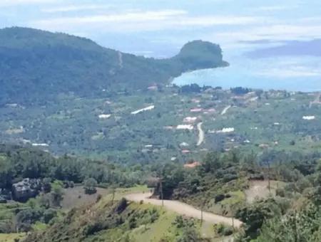 Grundstück Zu Verkaufen Mit Meerblick Mit 52000M2 Parzelle In Mugla Provinz Datca Bezirk Masoudye Nachbarschaft