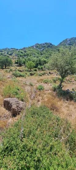 Marmaris Selimiye Dorf In Einer Für Die Investition Geeigneten 773 M2 Großen Verkaufsbaren Fläche Land