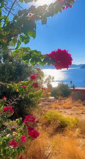 Marmaris Söğüt Dorf Mit Atemberaubendem Symi Blick Exklusives Anwesen