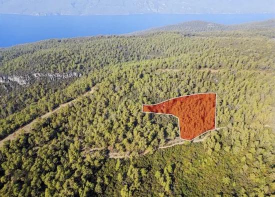 Marmaris Çetibelinde Wald Innerhalb 13.500 M2 Privat Nutzungsbereich