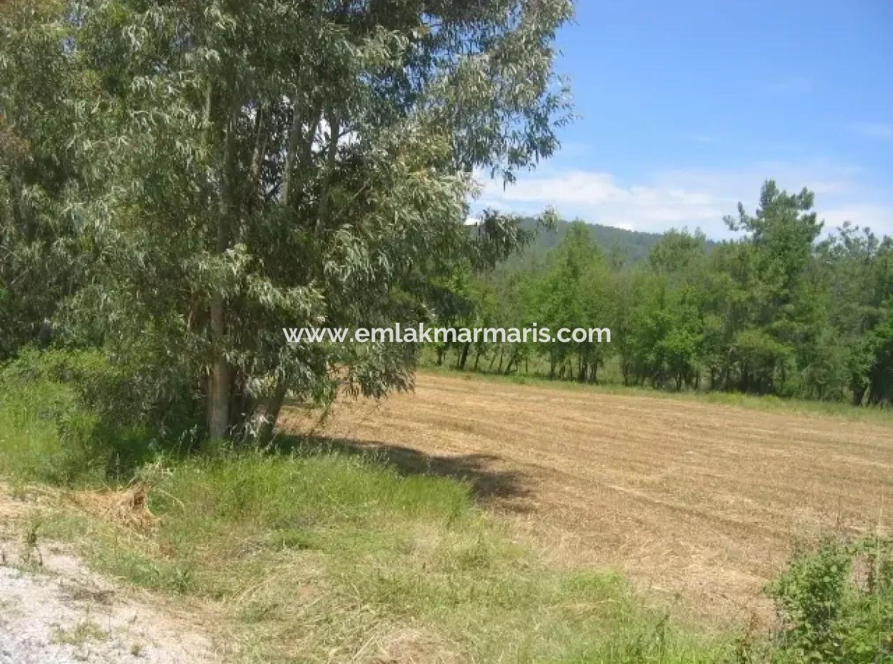 Urgent For Sale Plot In The Village Of 25.000 M2 Glazed Marmaris