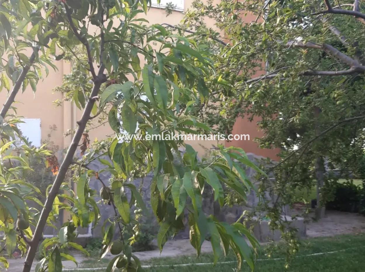 Manisa Prefecture Alasehir District 19000M2 Grapefring Farm For Urgent Sale