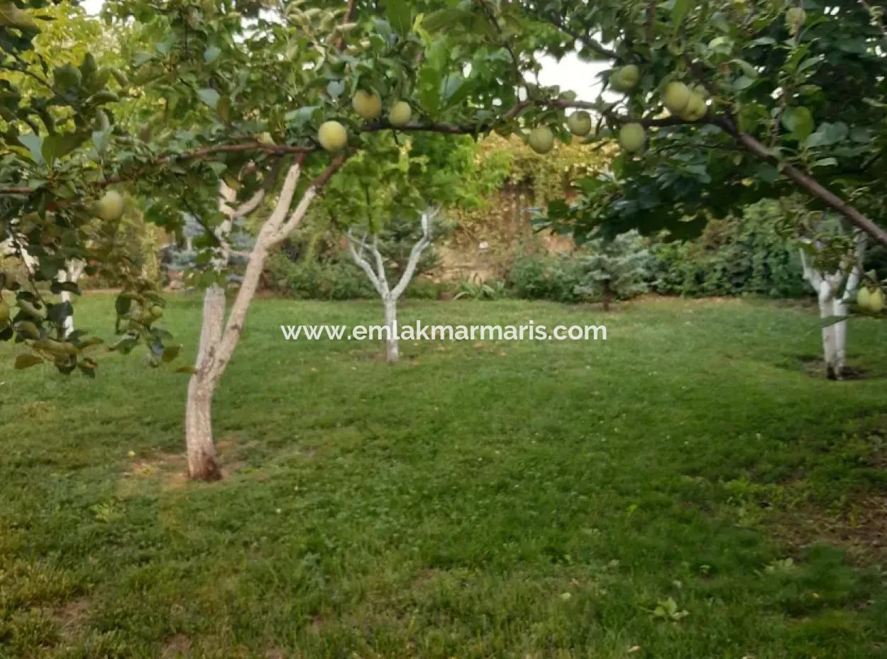 Manisa Prefecture Alasehir District 19000M2 Grapefring Farm For Urgent Sale