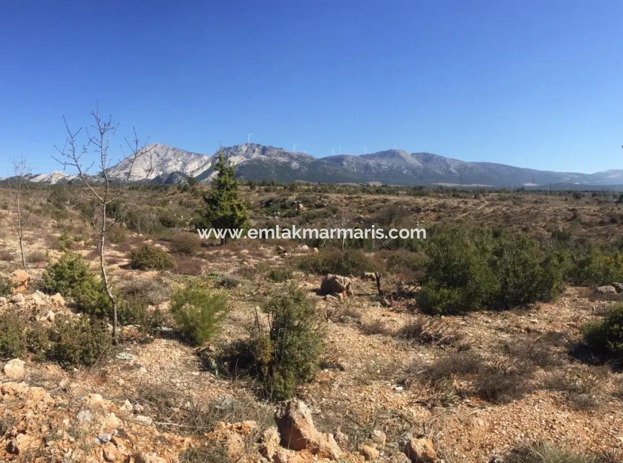 The 200000M2 Almond Garden Is For Sale In The Center Of Mugla.