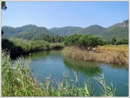 Urgent For Sale Plot In The Village Of 25.000 M2 Glazed Marmaris