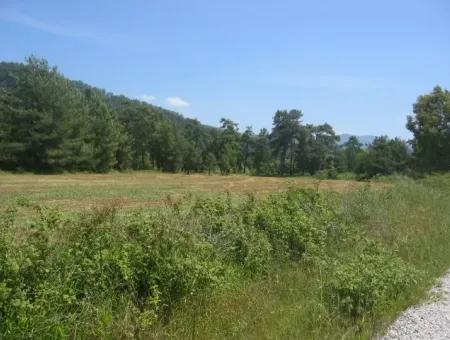 Urgent For Sale Plot In The Village Of 25.000 M2 Glazed Marmaris