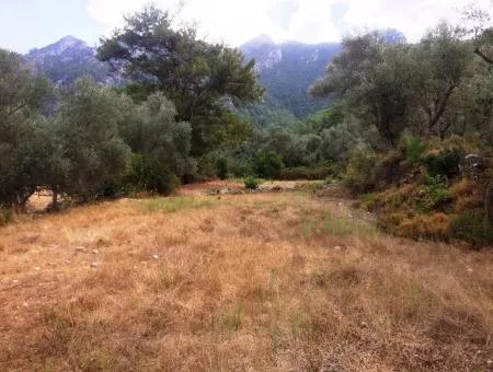 Orhaniye Marmaris District Of District Farmland For Sale 400 M2