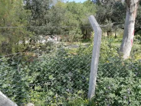 Land For Sale With 4000M2 Tourism Development By The Sea In Bodrum Akyarlar
