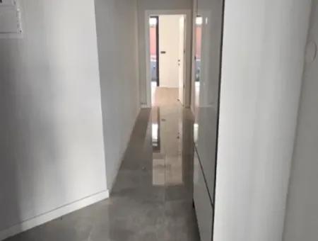 Siteler Neighborhood 2 1 Detached Garden Flat For Sale