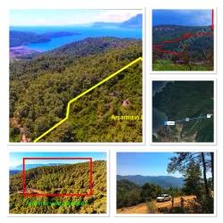 Для продажи Поле в Çetibeli Marmaris - Под Поле застройку - 13.500 m²