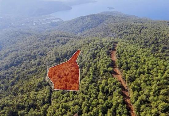 Мармарис Четибелінде Ліс Всередині 13.500 М2 Особисте Використання Території