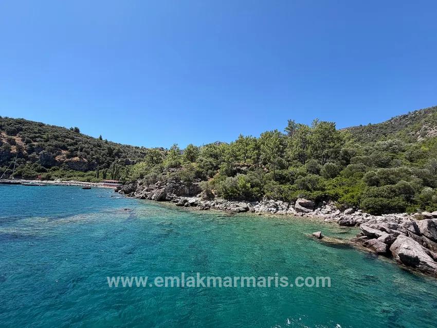 Marmaris Turunç koyunda denize sıfır 4700 m2 kontrollü kullanım alanı