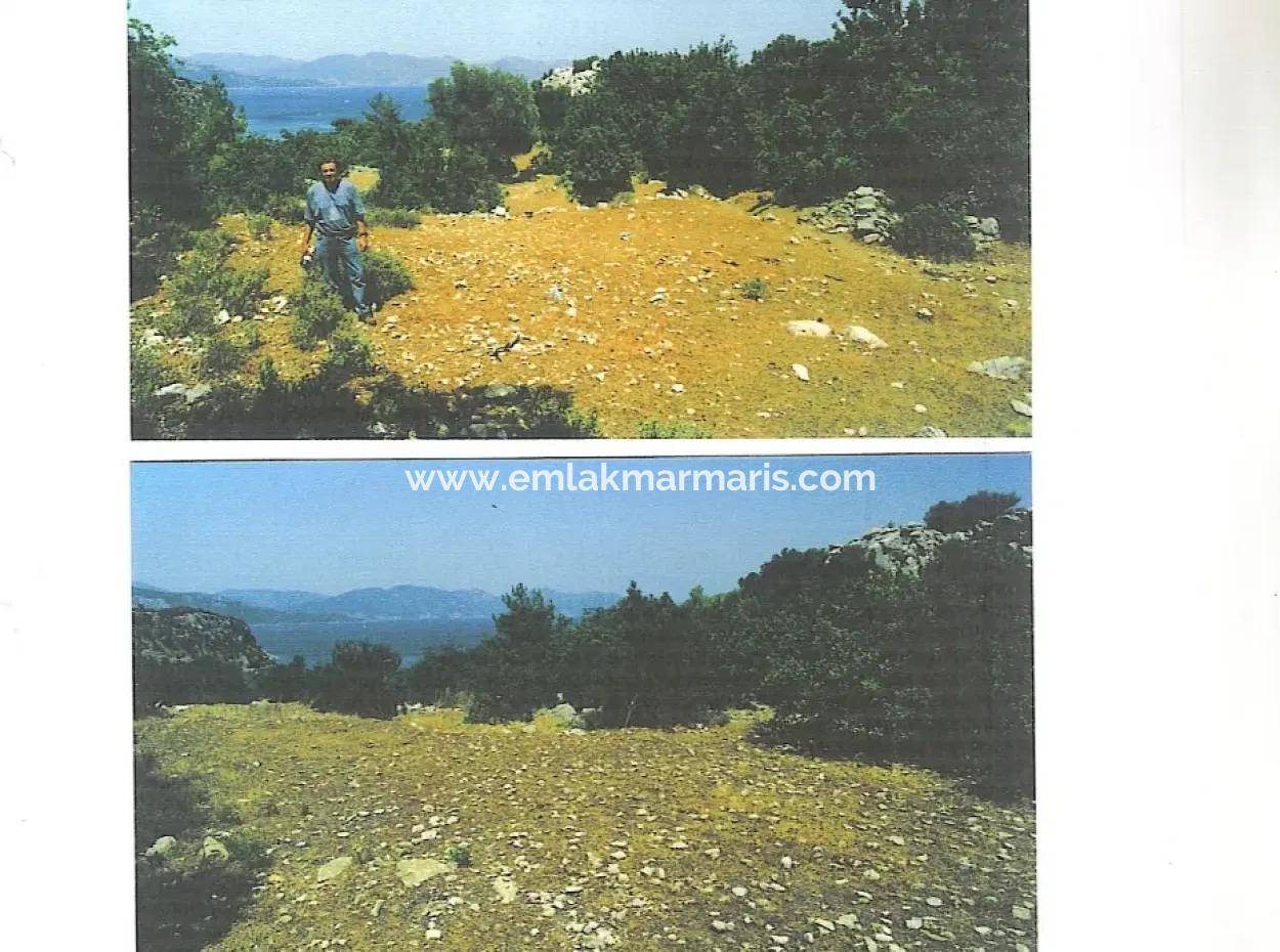 Kumlubük Koyunda Deniz Manzaralı 11000 M2 Satılık Arsa