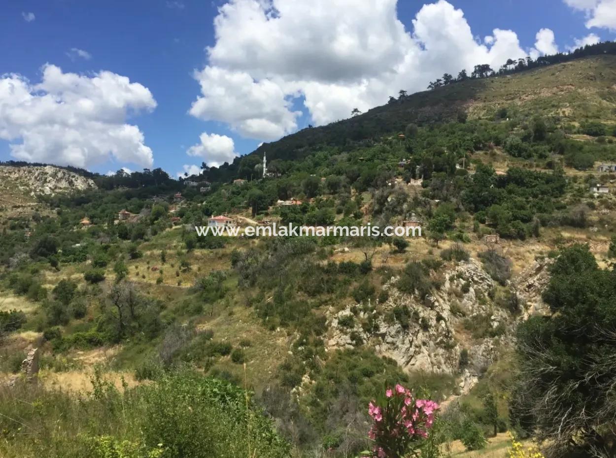 Mugla Ili Akbuk Ilcesi Zeytinkoy Mahallesinde 3500 M2 Arsa Icerisinde 2 Adet Evi Mevcut Imarli Satilik