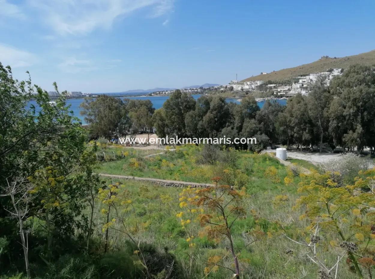 Bodrum Akyarlar Mevkisinde Denize Sıfır 4000M2 Turizm İmarlı Satılık Arsa