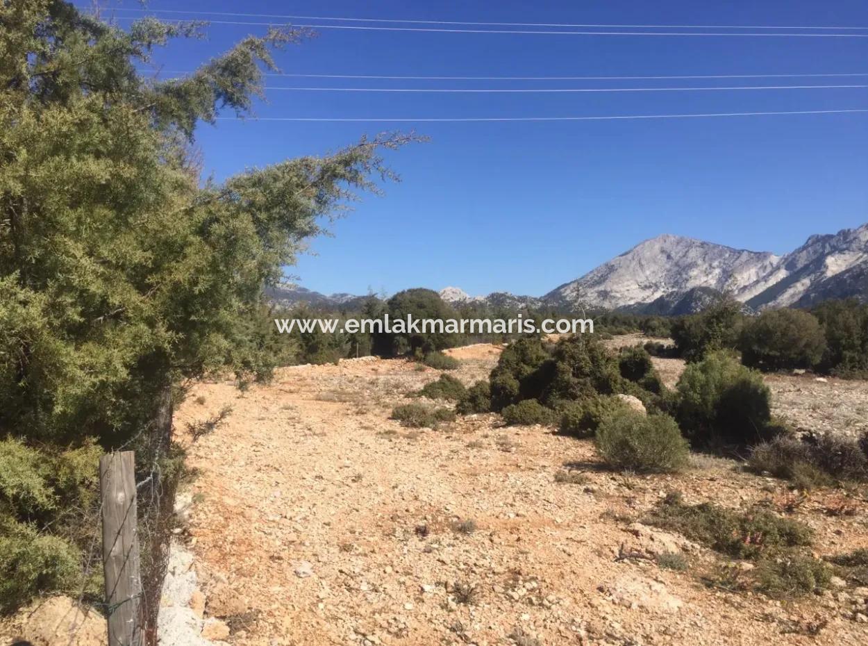 Muğla Merkezinde 200000M2 Badem Bahçesi Satılıktır.