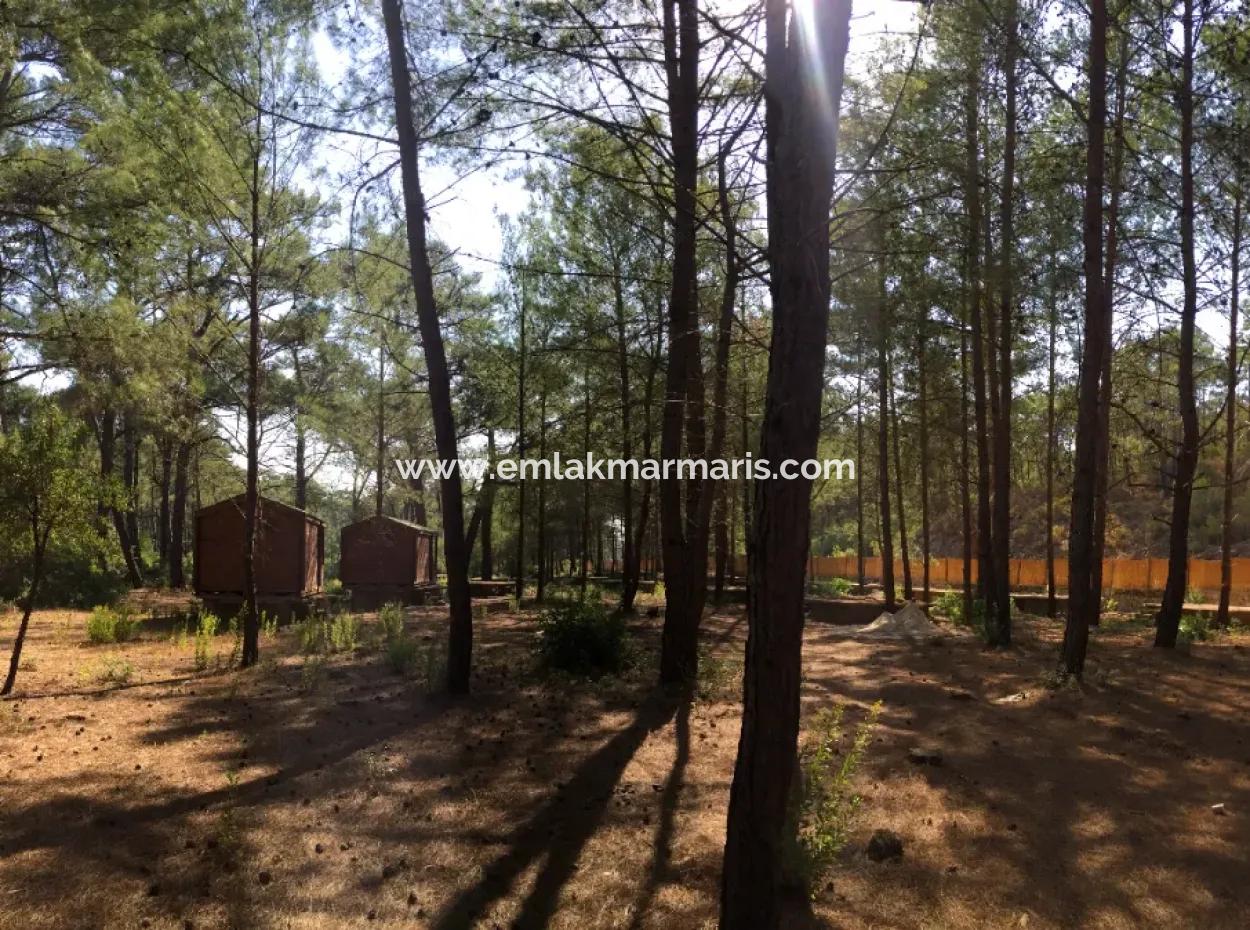 Bördübet Koyunda 7500M2 Arsa İçerisinde Bungalow Otel İçin Uygun Satılık Arsa