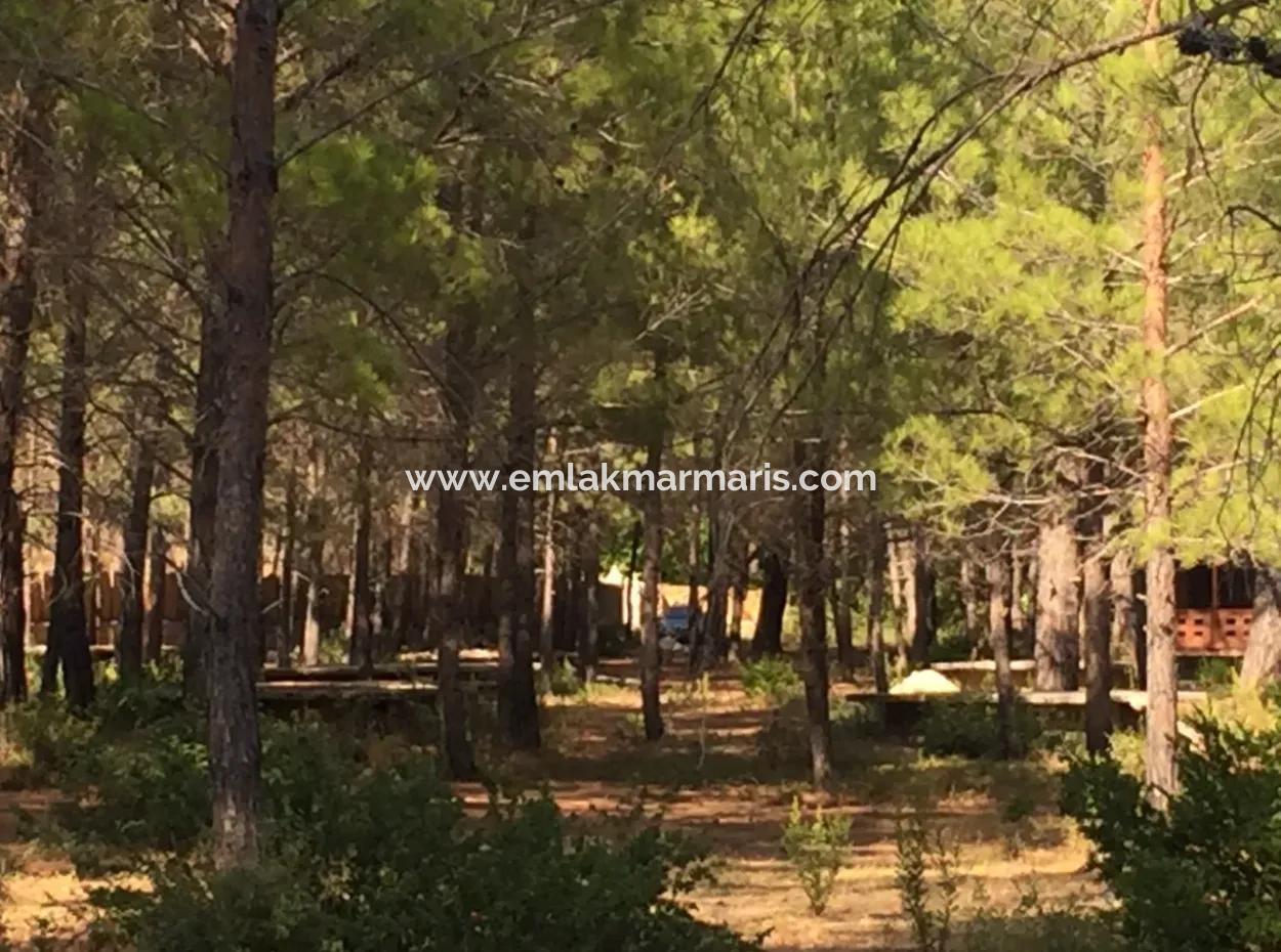 Bördübet Koyunda 7500M2 Arsa İçerisinde Bungalow Otel İçin Uygun Satılık Arsa