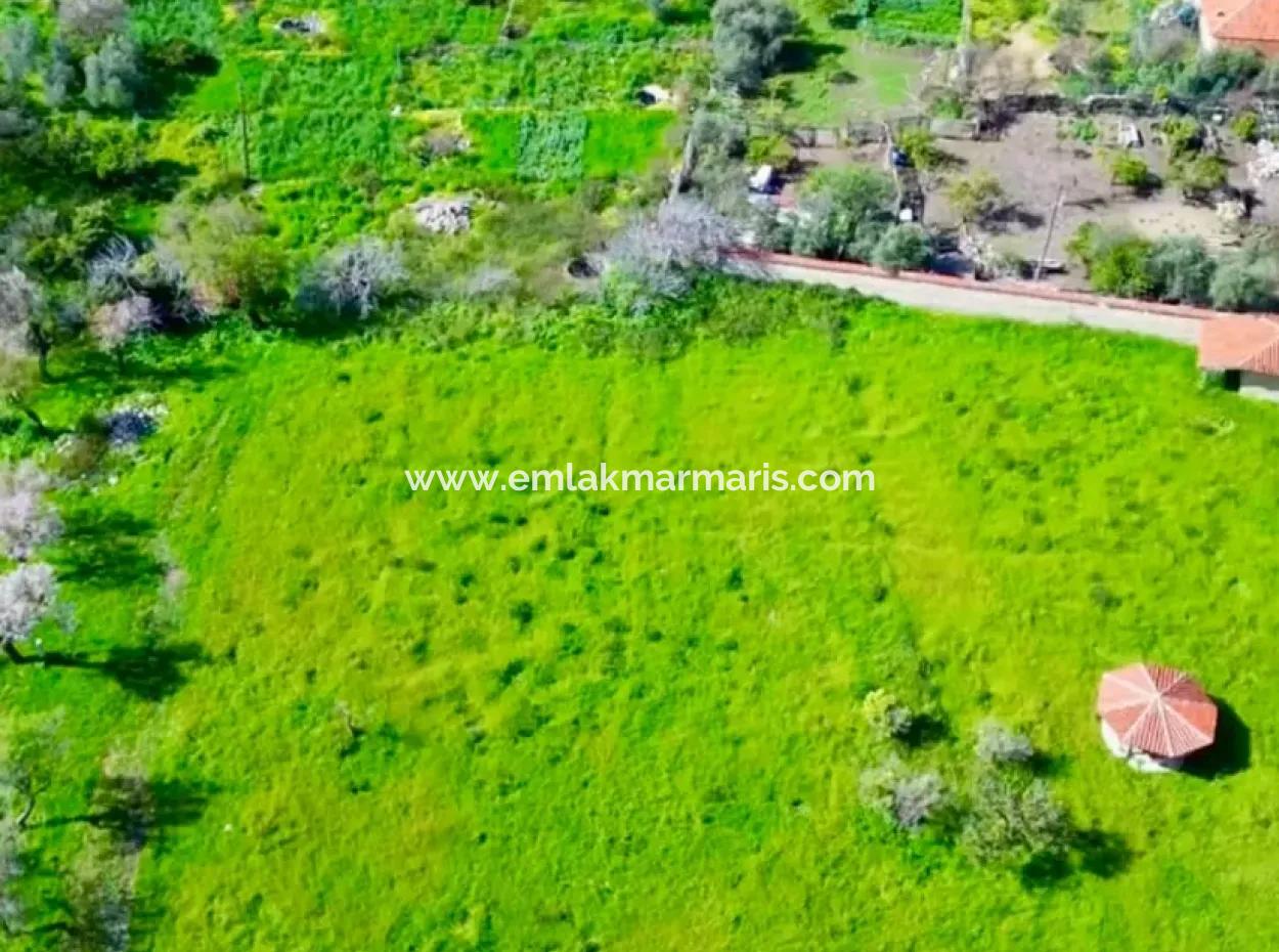 Marmaris İlçesi Söğüt Köyünde Denize 150 Metre 10000M2  Satılık Arsa.turizm Alanı İçerisinde Kamp Karavan Kamping Alanı Olarak Kullanılabilir.