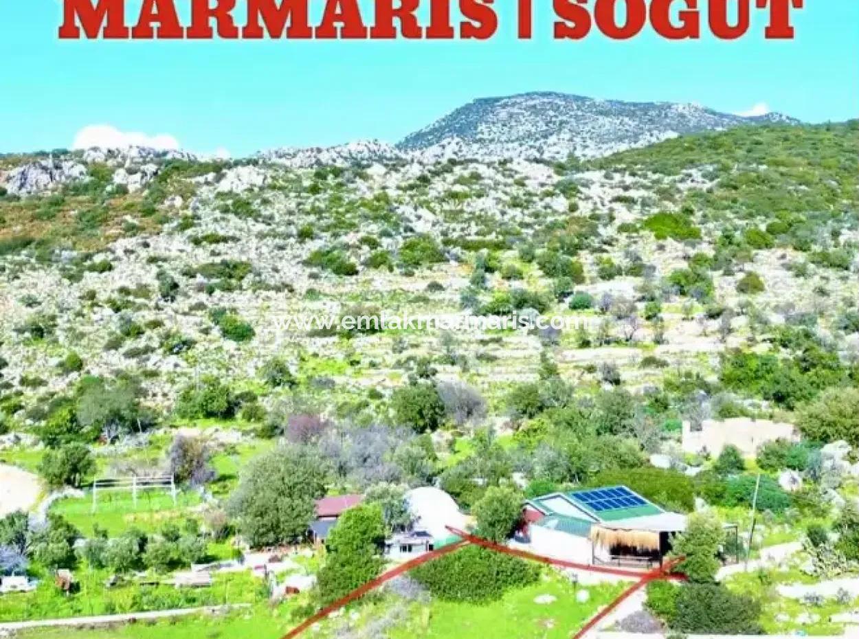 Emlakçıdan Marmaris İlçesi Söğüt Mahallesinde Denize Sıfır 380M2 Satılık Tarla
