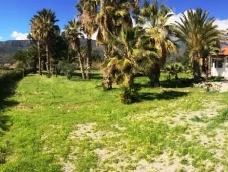 Datça Mesudiye Denize Sıfır Villa 4200M2 Arsa İçerisinde