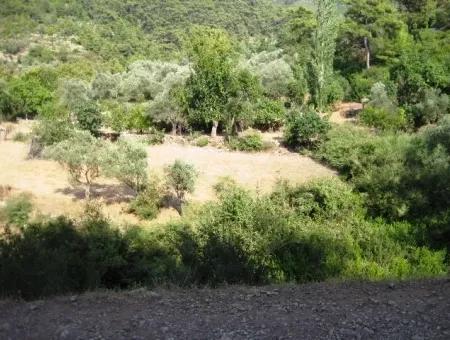 Orhaniye Köyünde Doğa İçinde 400 M2 Yatırım İçin Uygun Arsamız Satılık