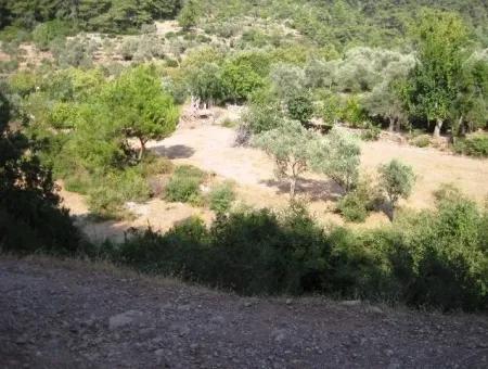 Orhaniye Köyünde Doğa İçinde 400 M2 Yatırım İçin Uygun Arsamız Satılık
