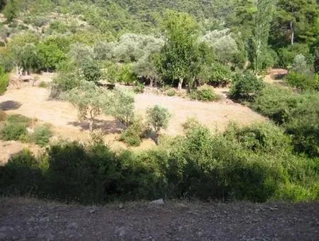 Orhaniye Köyünde Doğa İçinde 400 M2 Yatırım İçin Uygun Arsamız Satılık