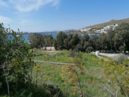 Bodrum Akyarlar Mevkisinde Denize Sıfır 4000M2 Turizm İmarlı Satılık Arsa