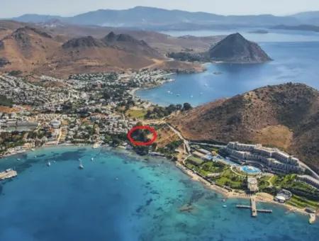 Bodrum Akyarlar Mevkisinde Denize Sıfır 4000M2 Turizm İmarlı Satılık Arsa